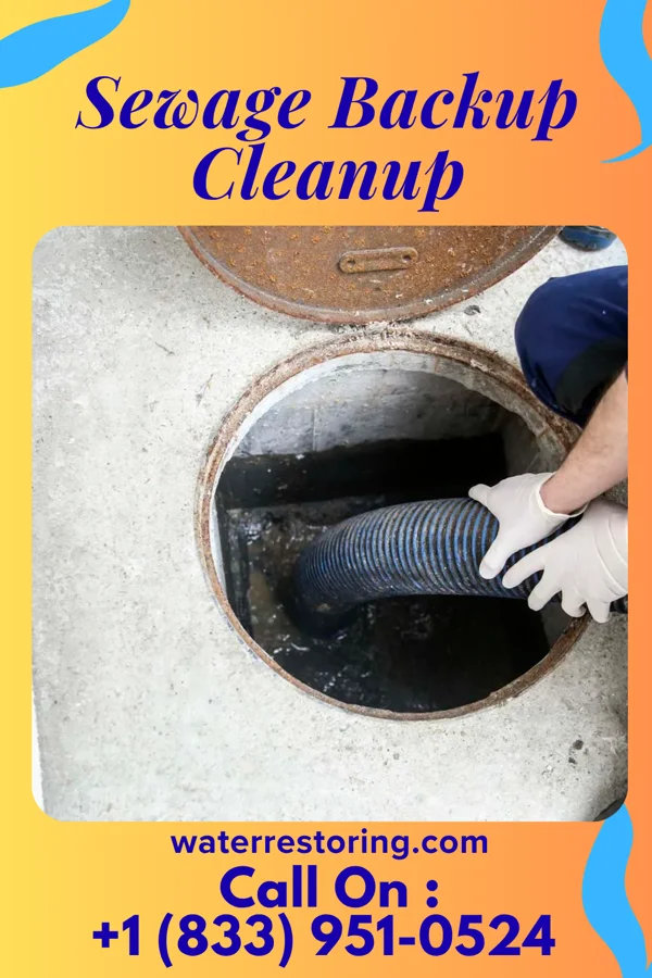 Sewage Backup Cleanup in Matthews, MO