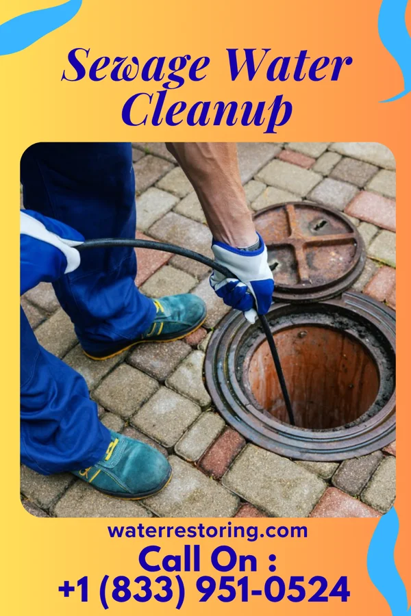 Sewage Water Cleanup in Matthews, MO