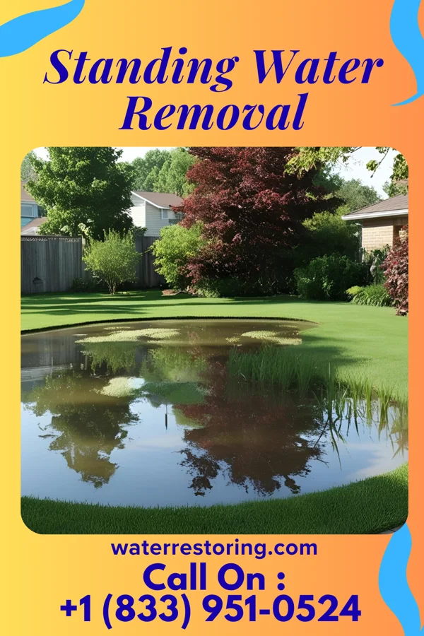 Standing Water Removal in Matthews, MO